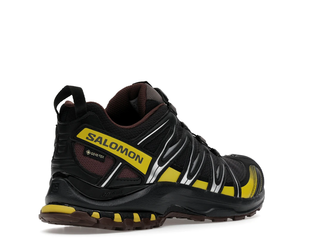 Salomon XA Pro 3D Gore-Tex Cress Green French Roast