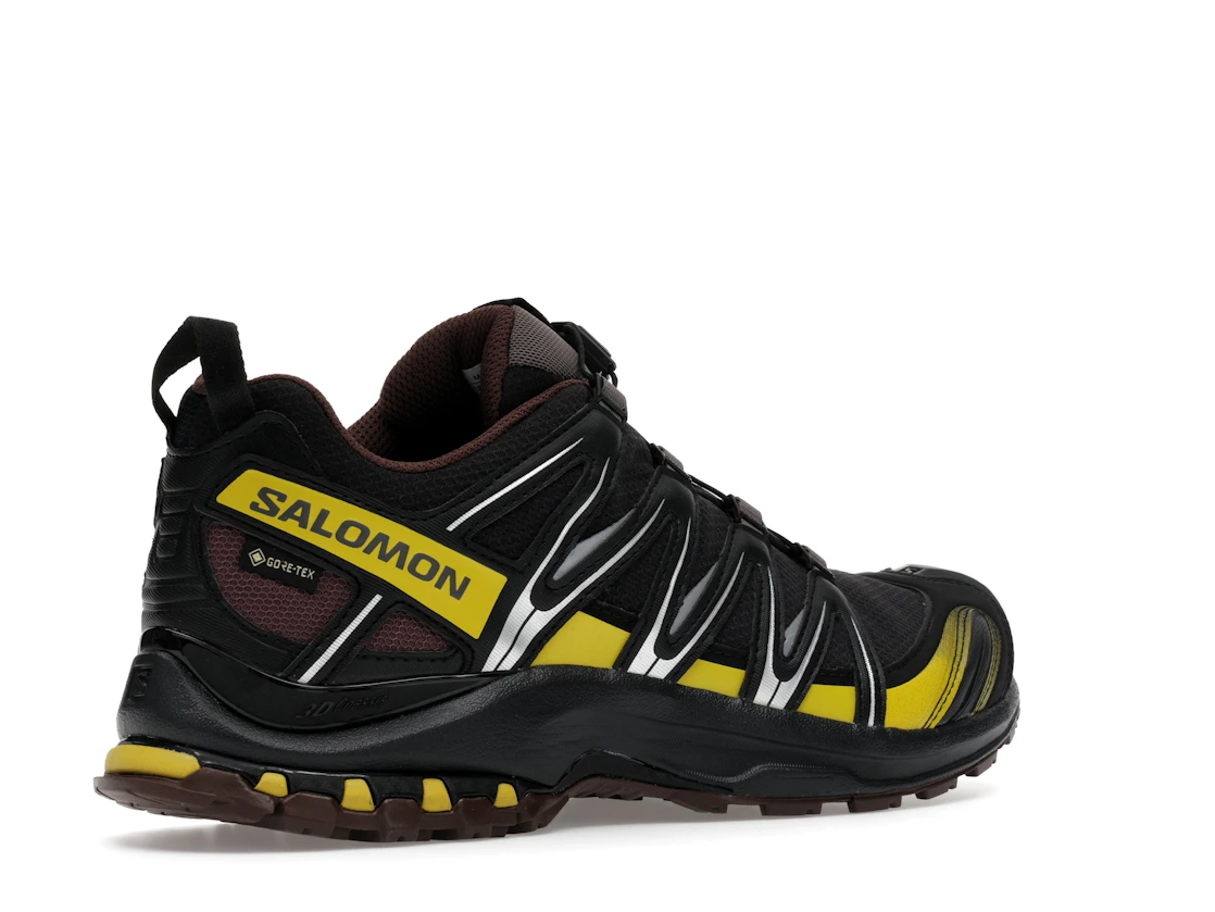 Salomon XA Pro 3D Gore-Tex Cress Green French Roast