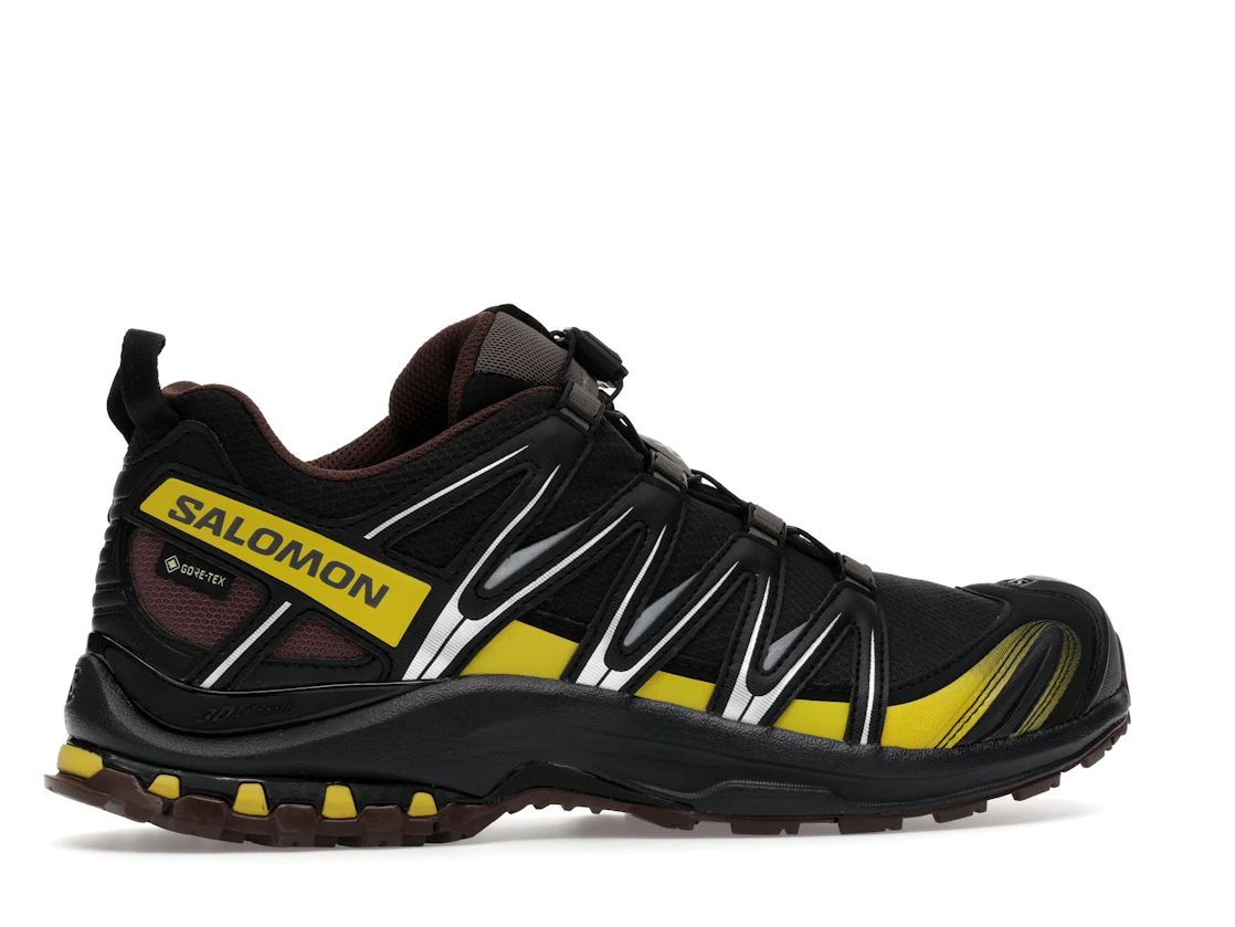 Salomon XA Pro 3D Gore-Tex Cress Green French Roast