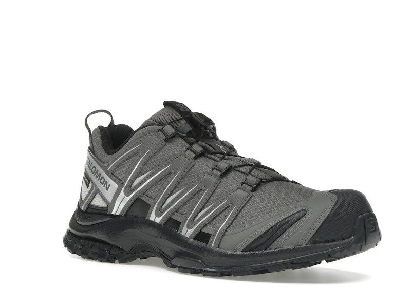 Salomon XA Pro 3D Gore-Tex Pewter Silver Cloud