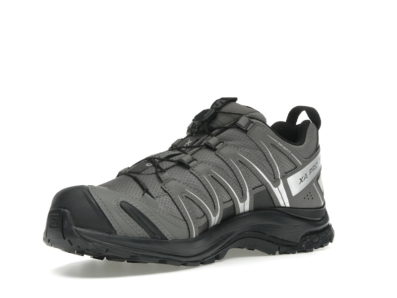 Salomon XA Pro 3D Gore-Tex Pewter Silver Cloud