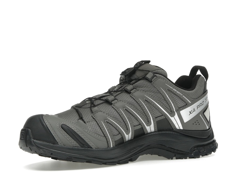 Salomon XA Pro 3D Gore-Tex Pewter Silver Cloud