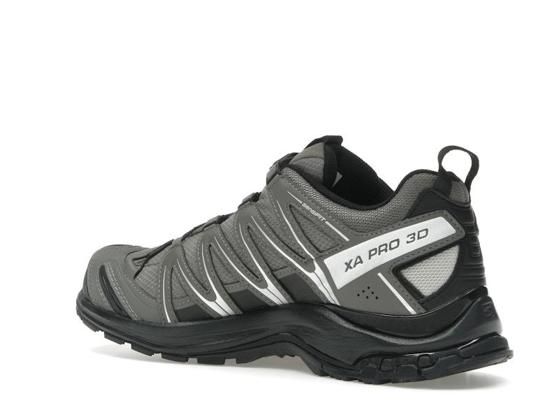 Salomon XA Pro 3D Gore-Tex Pewter Silver Cloud