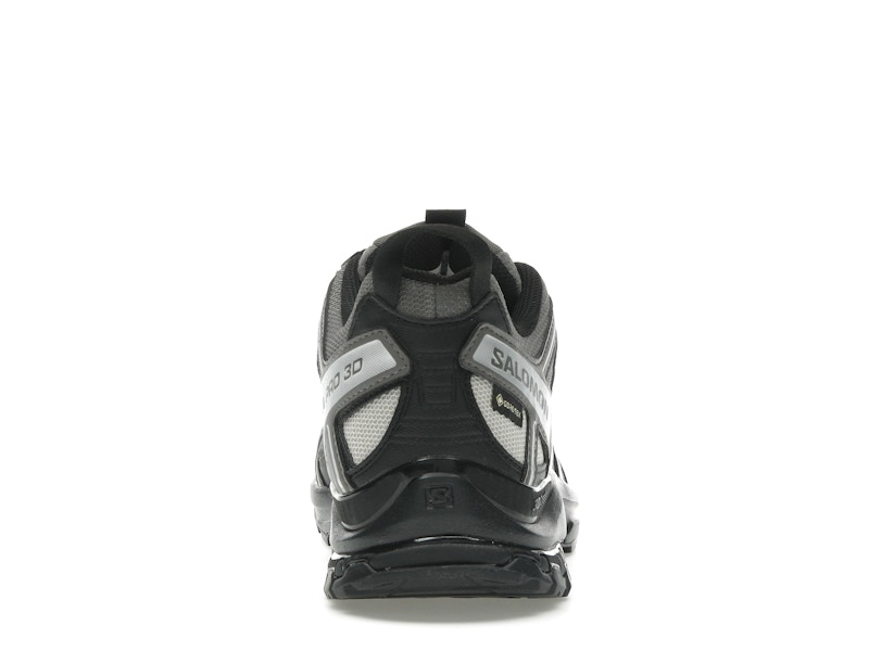 Salomon XA Pro 3D Gore-Tex Pewter Silver Cloud