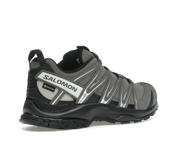 Salomon XA Pro 3D Gore-Tex Pewter Silver Cloud