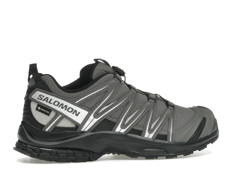 Salomon XA Pro 3D Gore-Tex Pewter Silver Cloud