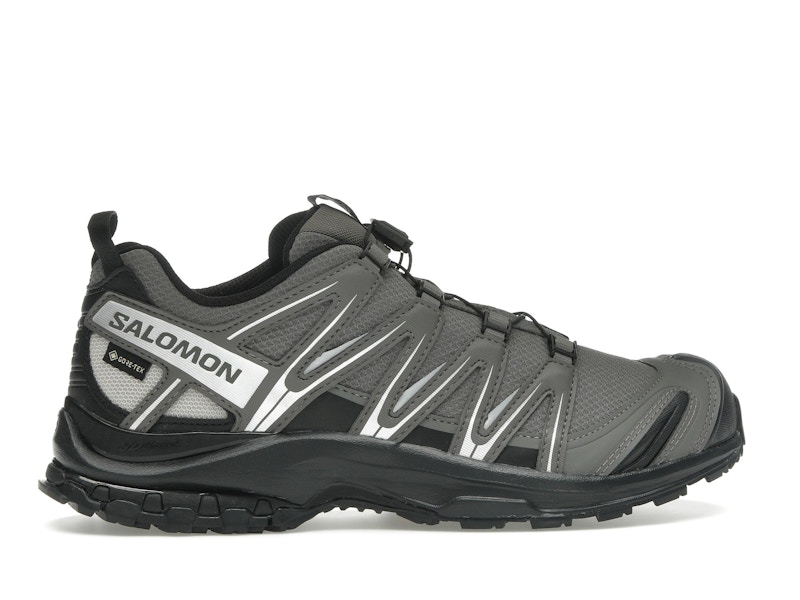 Salomon XA Pro 3D Gore-Tex Pewter Silver Cloud