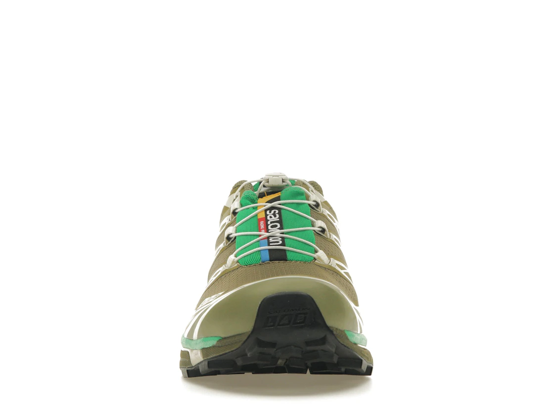 Salomon XT-6 Dried Herb