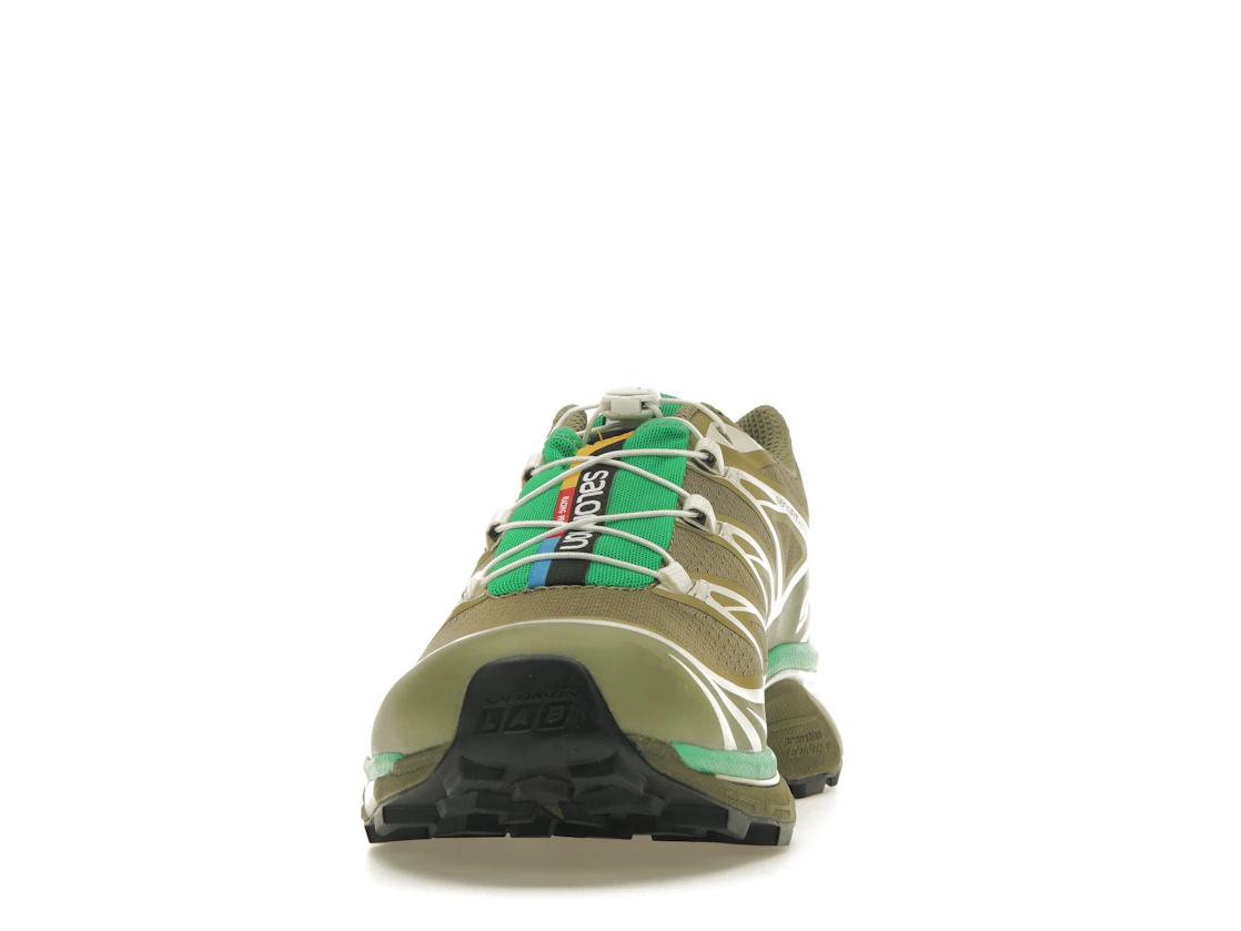 Salomon XT-6 Dried Herb