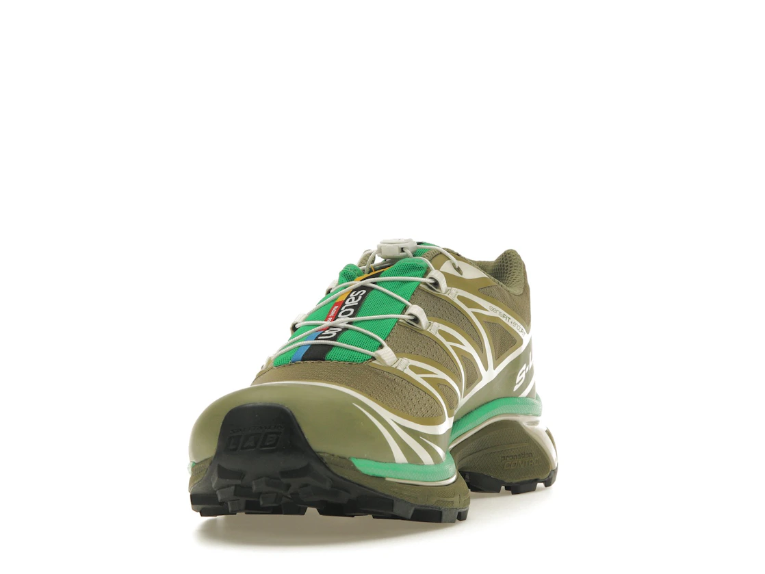 Salomon XT-6 Dried Herb