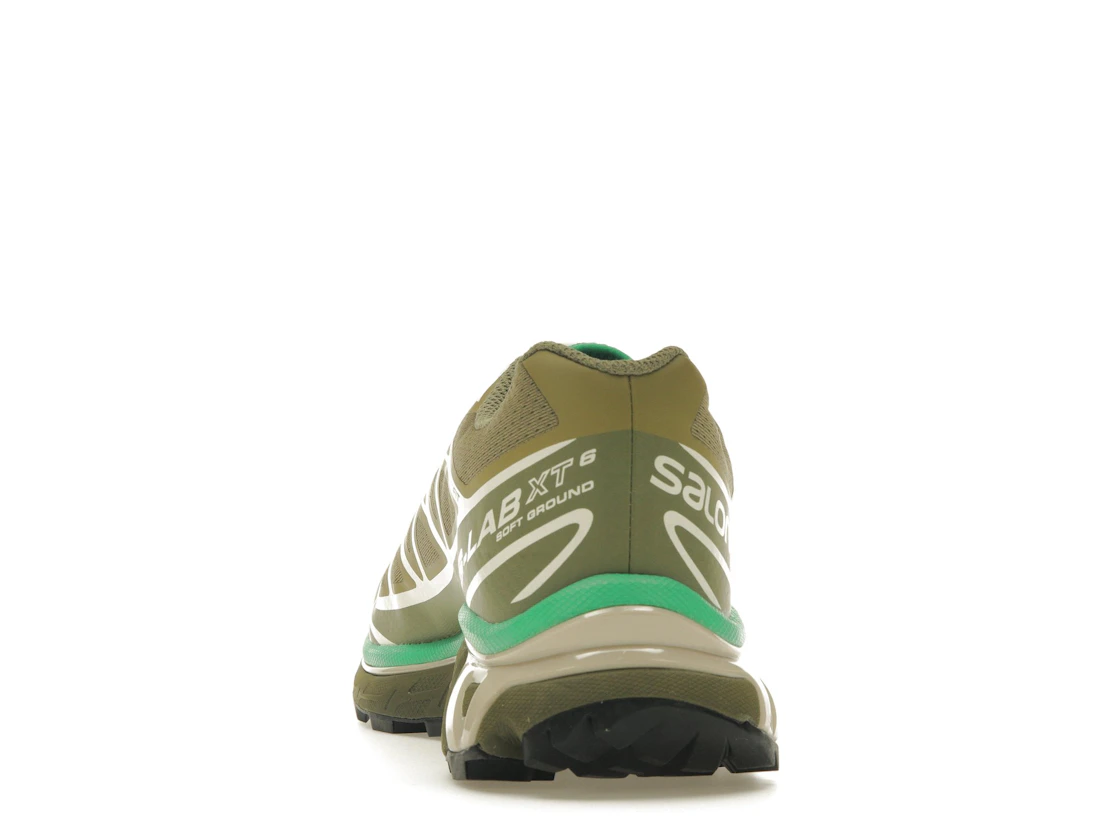 Salomon XT-6 Dried Herb