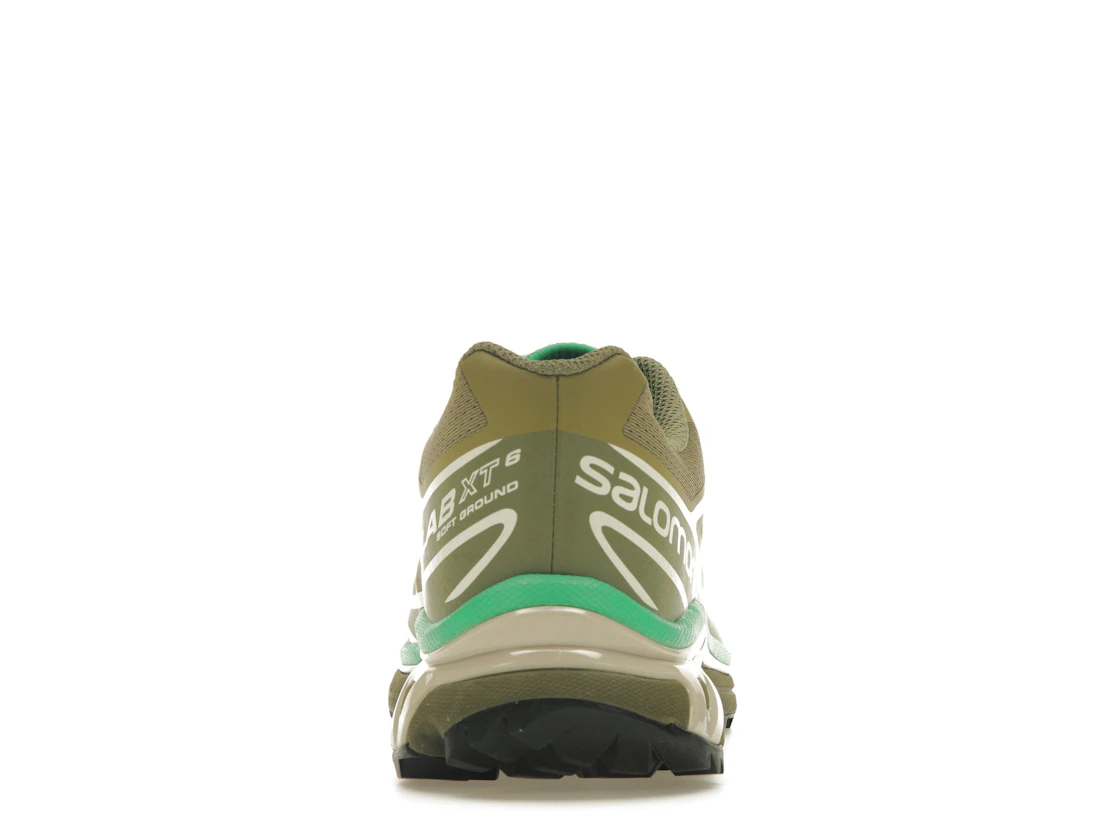 Salomon XT-6 Dried Herb