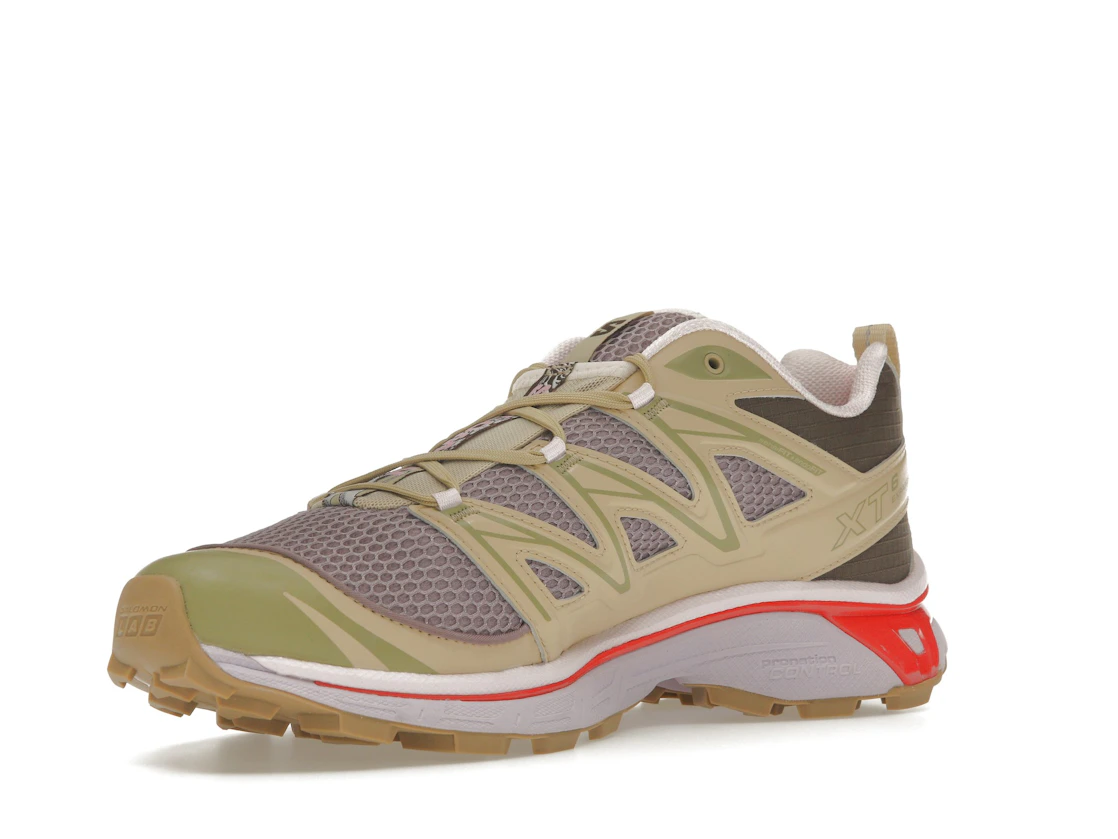 Salomon XT-6 Expanse size? Exclusive Annecy Hotel