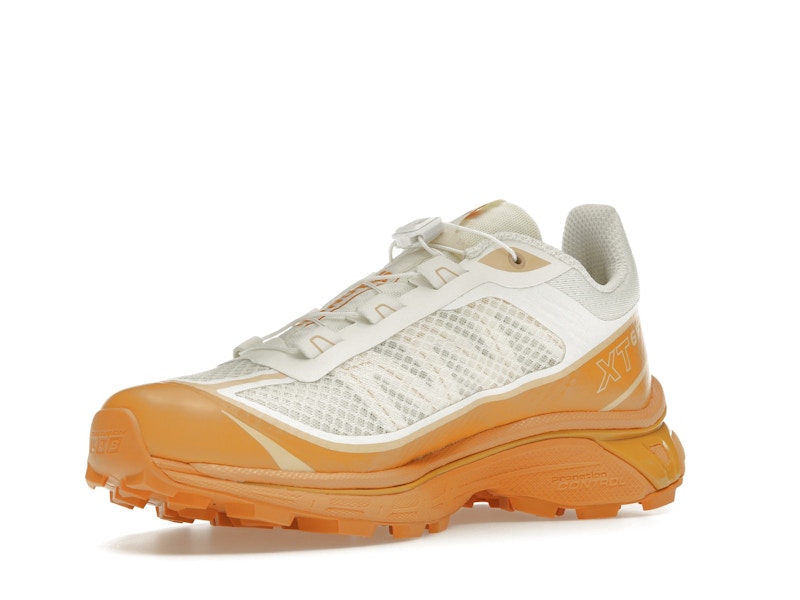 Salomon XT-6 FT Vanilla Ice Hazelnut