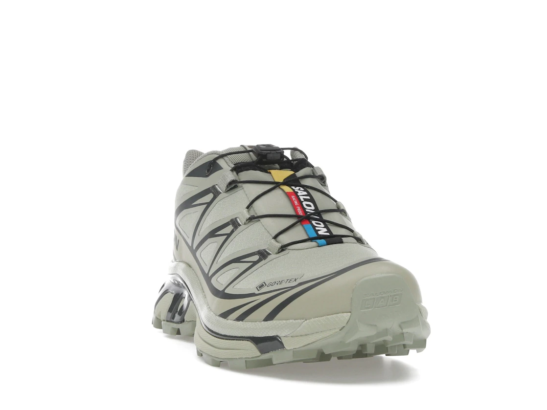 Salomon XT-6 Gore-Tex Tea Peat