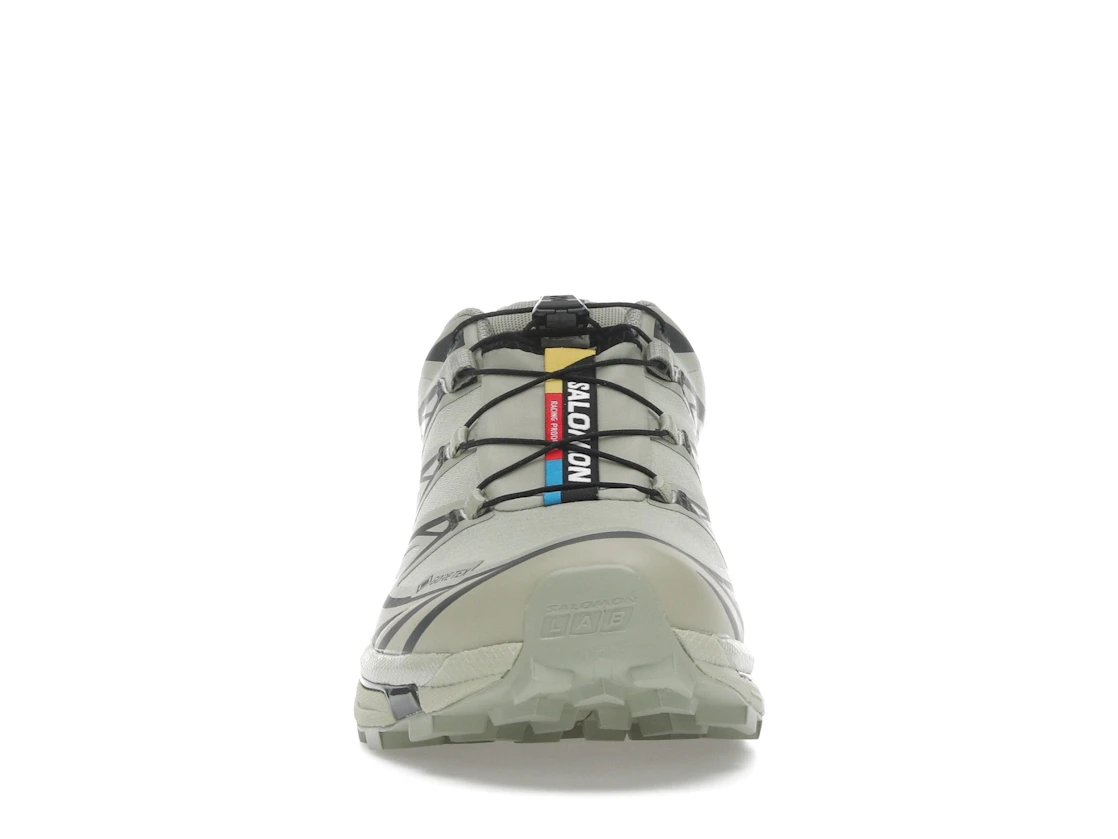 Salomon XT-6 Gore-Tex Tea Peat