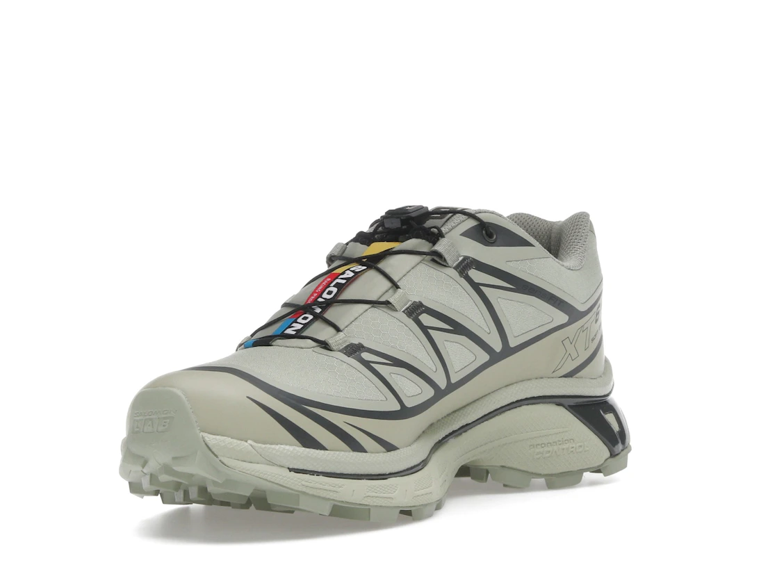 Salomon XT-6 Gore-Tex Tea Peat