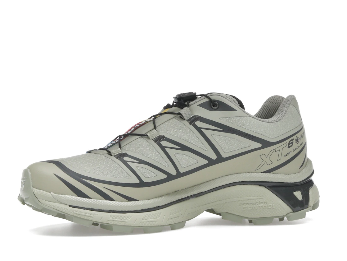 Salomon XT-6 Gore-Tex Tea Peat