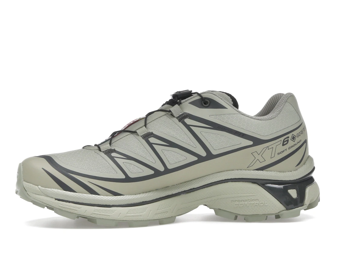 Salomon XT-6 Gore-Tex Tea Peat