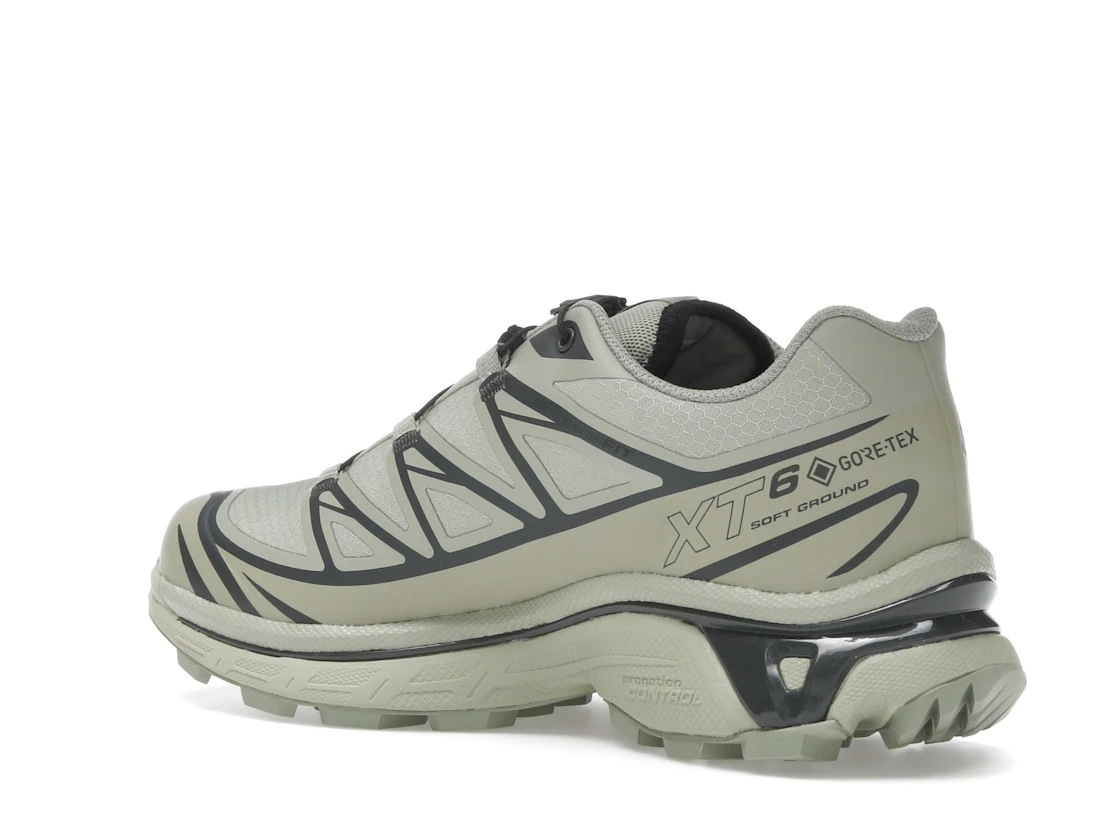 Salomon XT-6 Gore-Tex Tea Peat