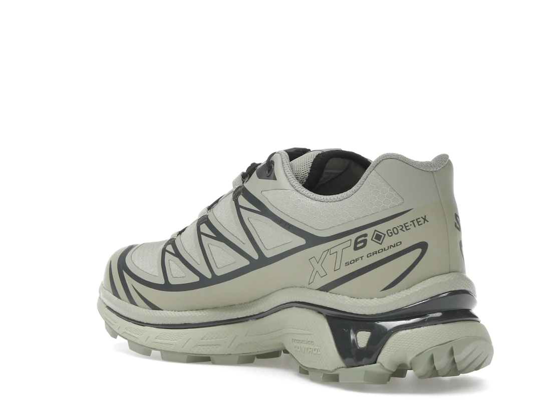 Salomon XT-6 Gore-Tex Tea Peat
