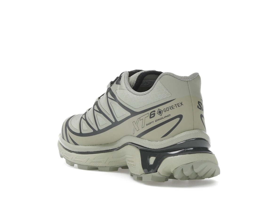 Salomon XT-6 Gore-Tex Tea Peat