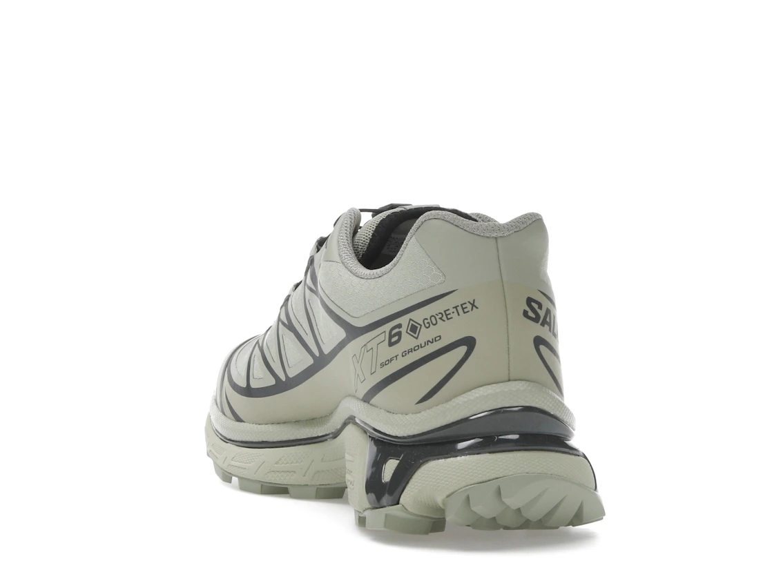 Salomon XT-6 Gore-Tex Tea Peat