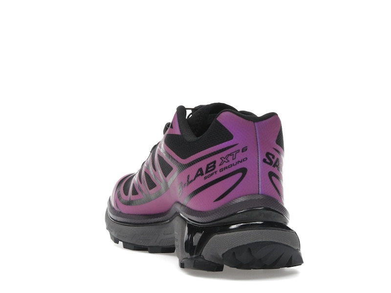 Salomon XT-6 Iridescent Pack