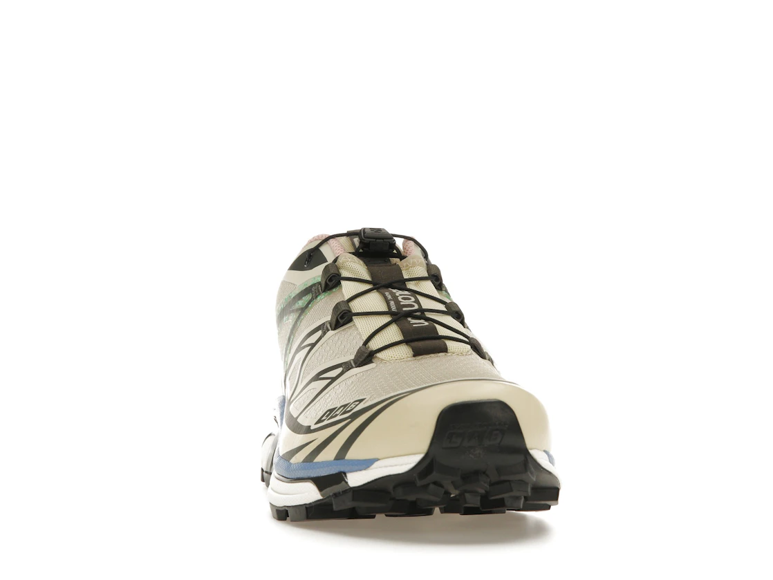 Salomon XT-6 Moth Vanilla