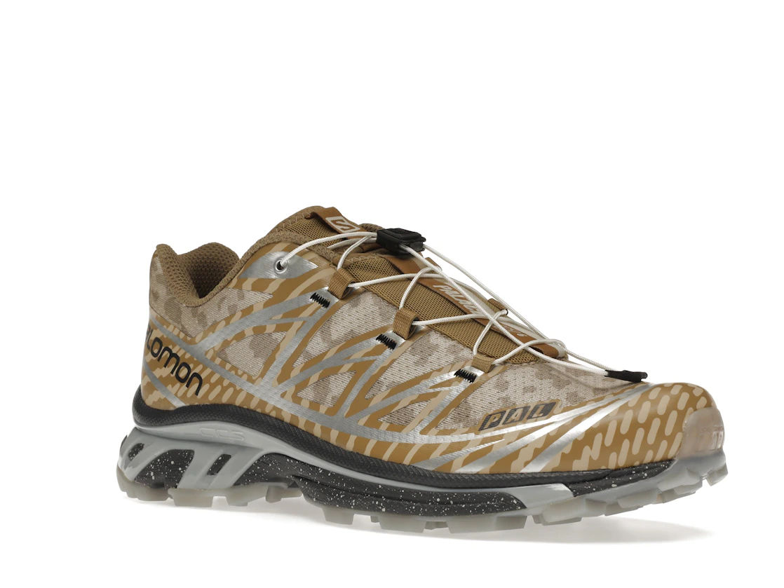 Salomon XT-6 Palace Kelp Quarry