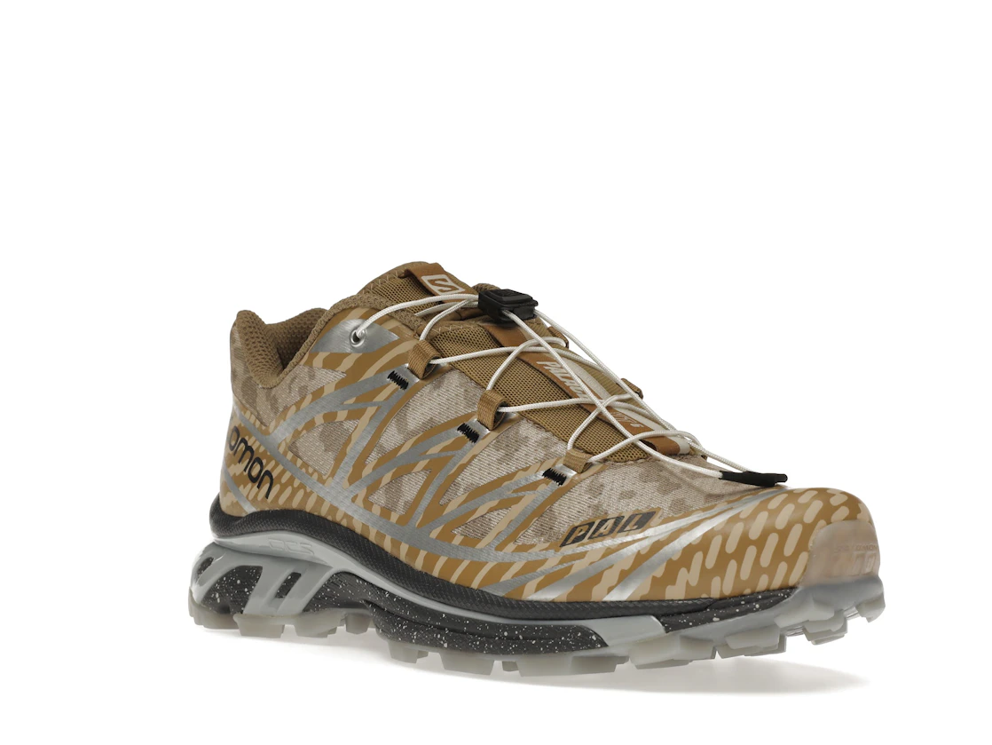 Salomon XT-6 Palace Kelp Quarry