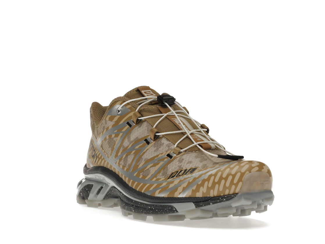 Salomon XT-6 Palace Kelp Quarry