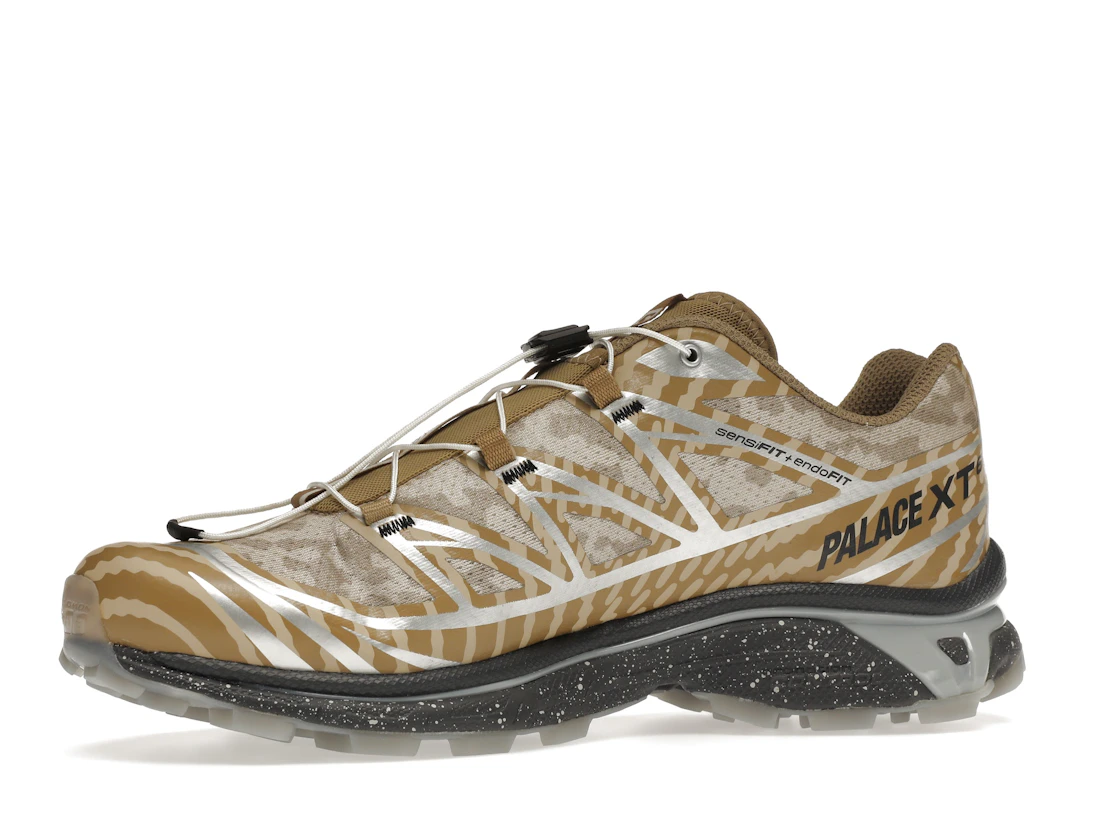 Salomon XT-6 Palace Kelp Quarry