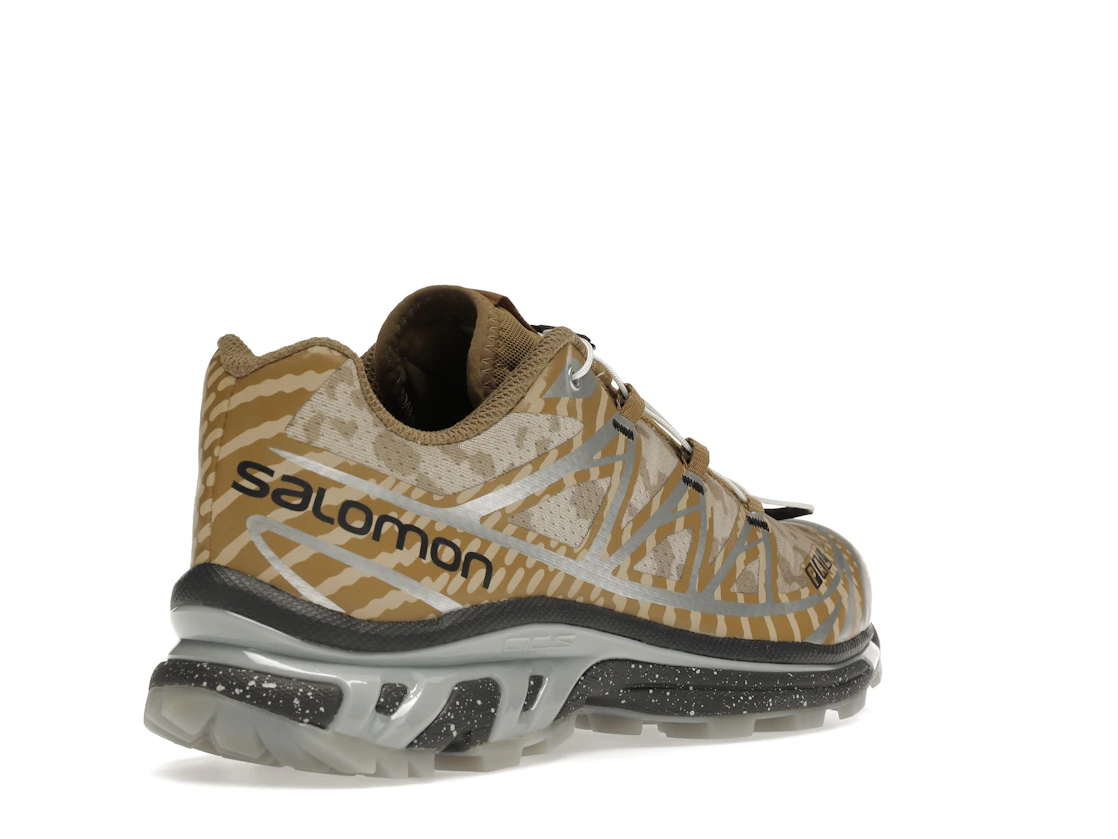 Salomon XT-6 Palace Kelp Quarry