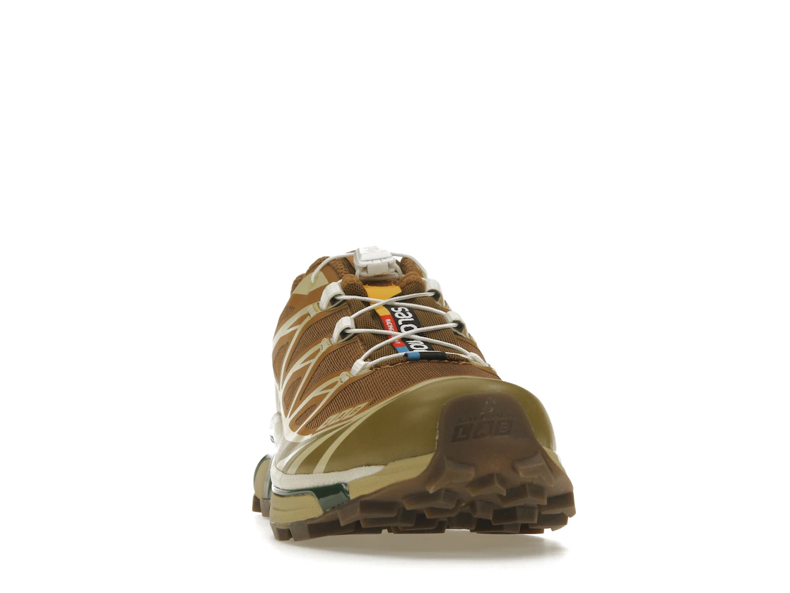 Salomon XT-6 Rubber Lizard