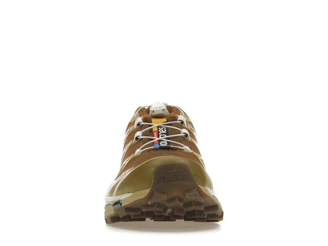 Salomon XT-6 Rubber Lizard