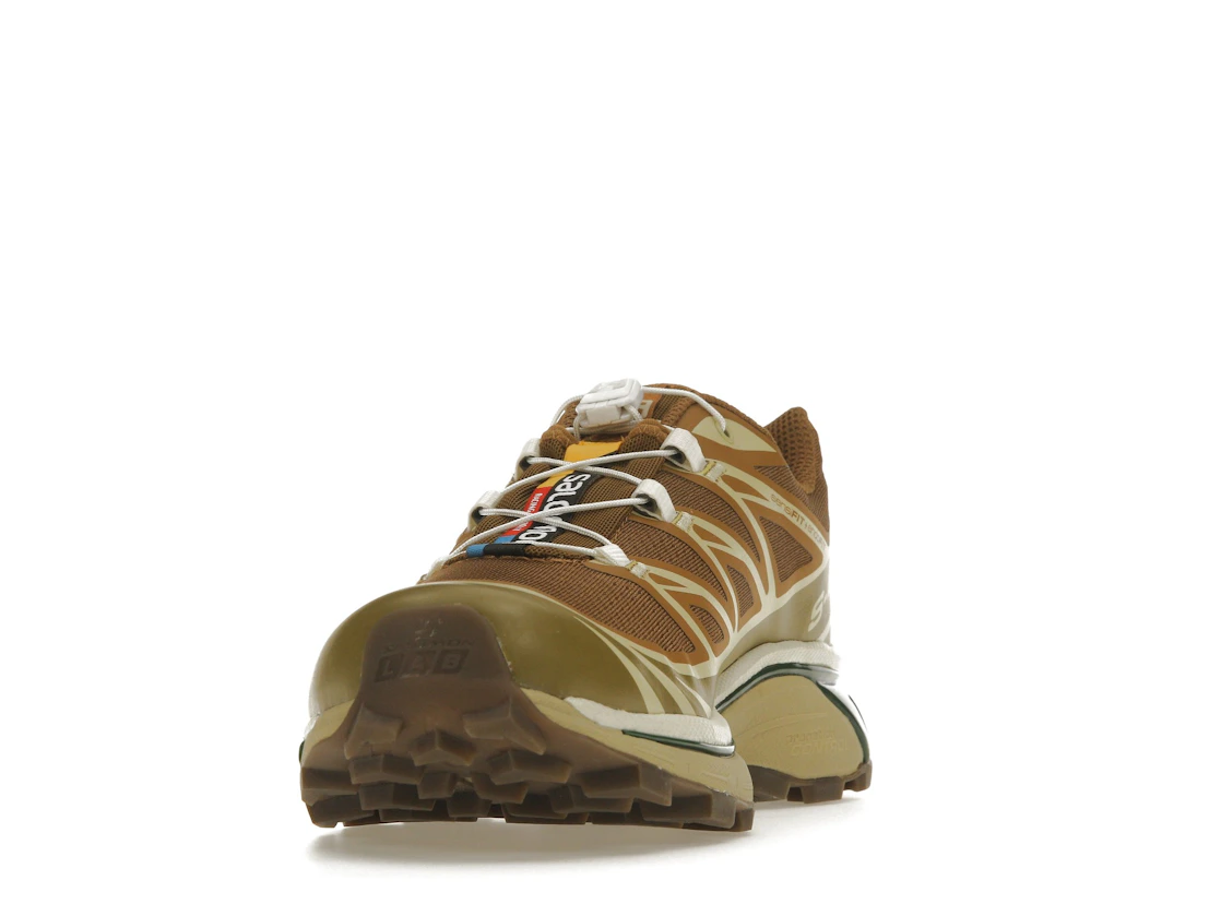 Salomon XT-6 Rubber Lizard