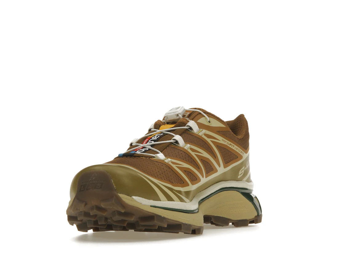 Salomon XT-6 Rubber Lizard