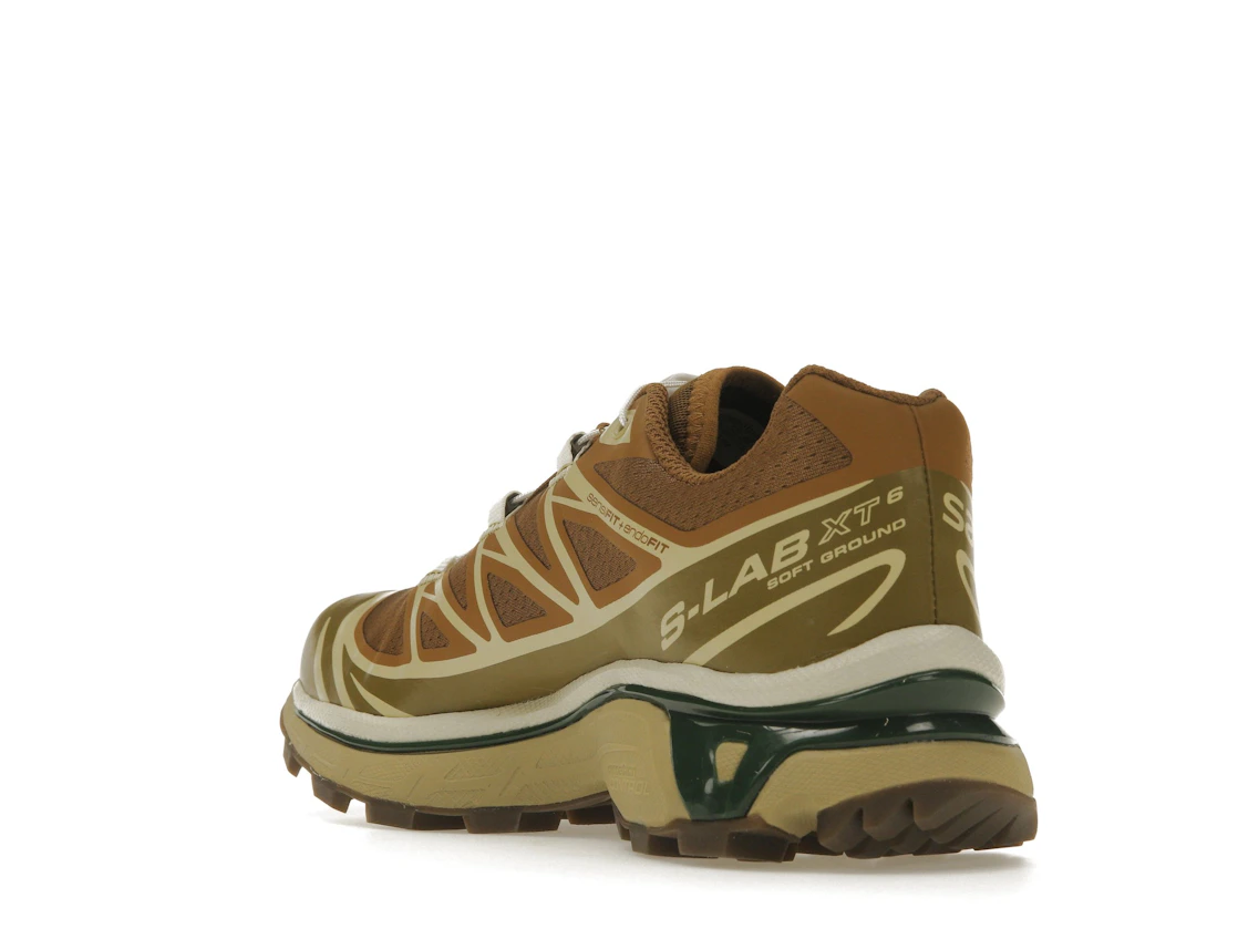 Salomon XT-6 Rubber Lizard