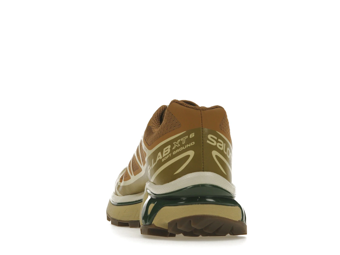 Salomon XT-6 Rubber Lizard