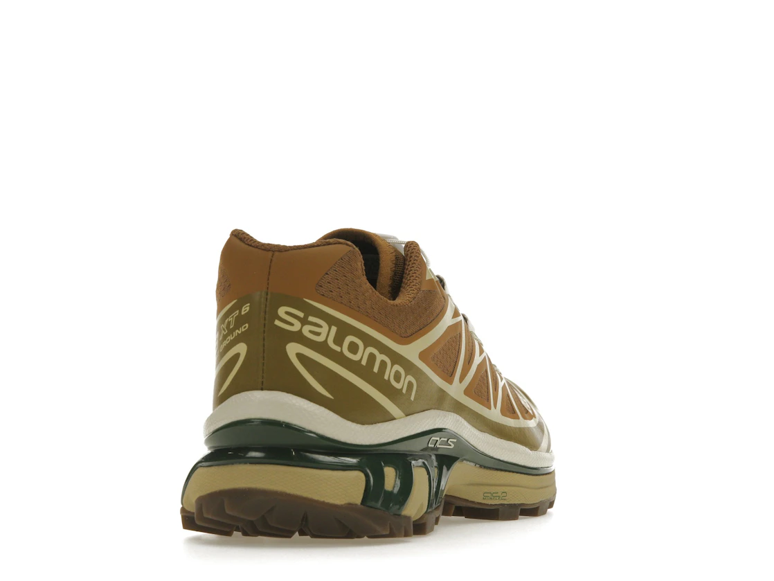 Salomon XT-6 Rubber Lizard