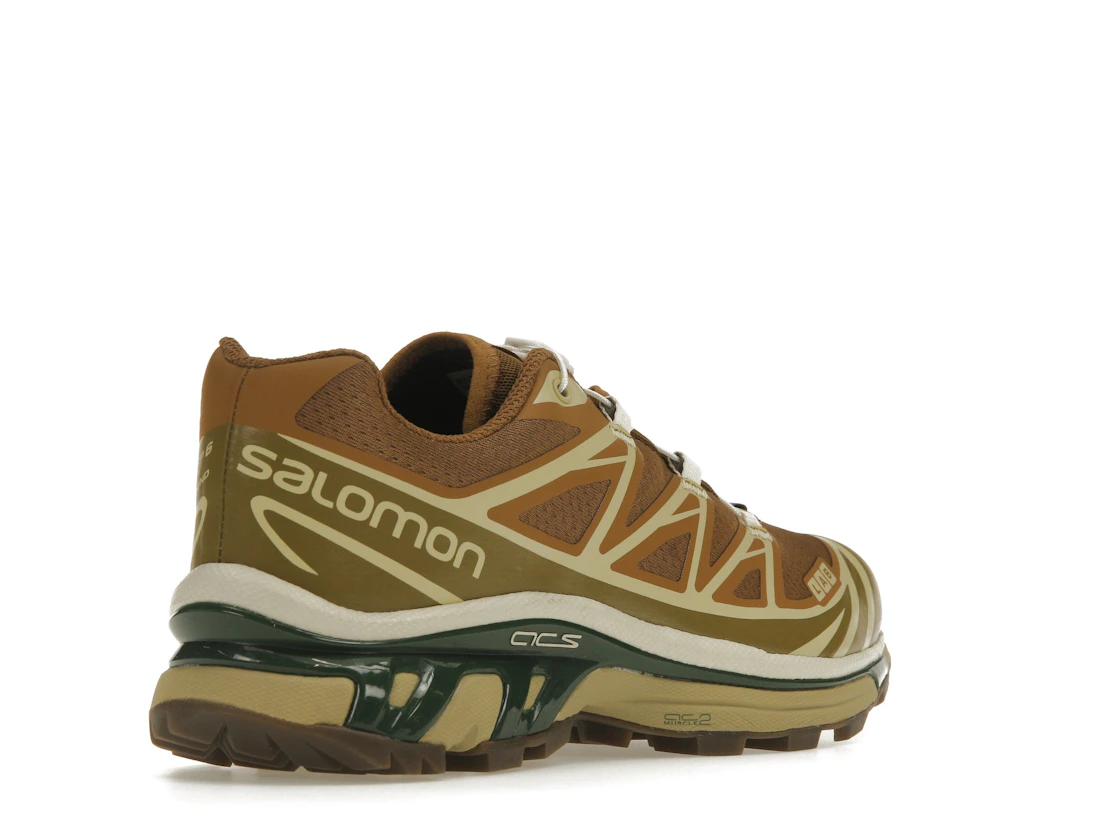 Salomon XT-6 Rubber Lizard
