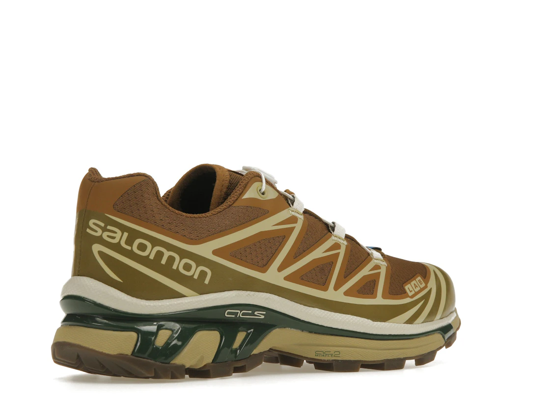 Salomon XT-6 Rubber Lizard