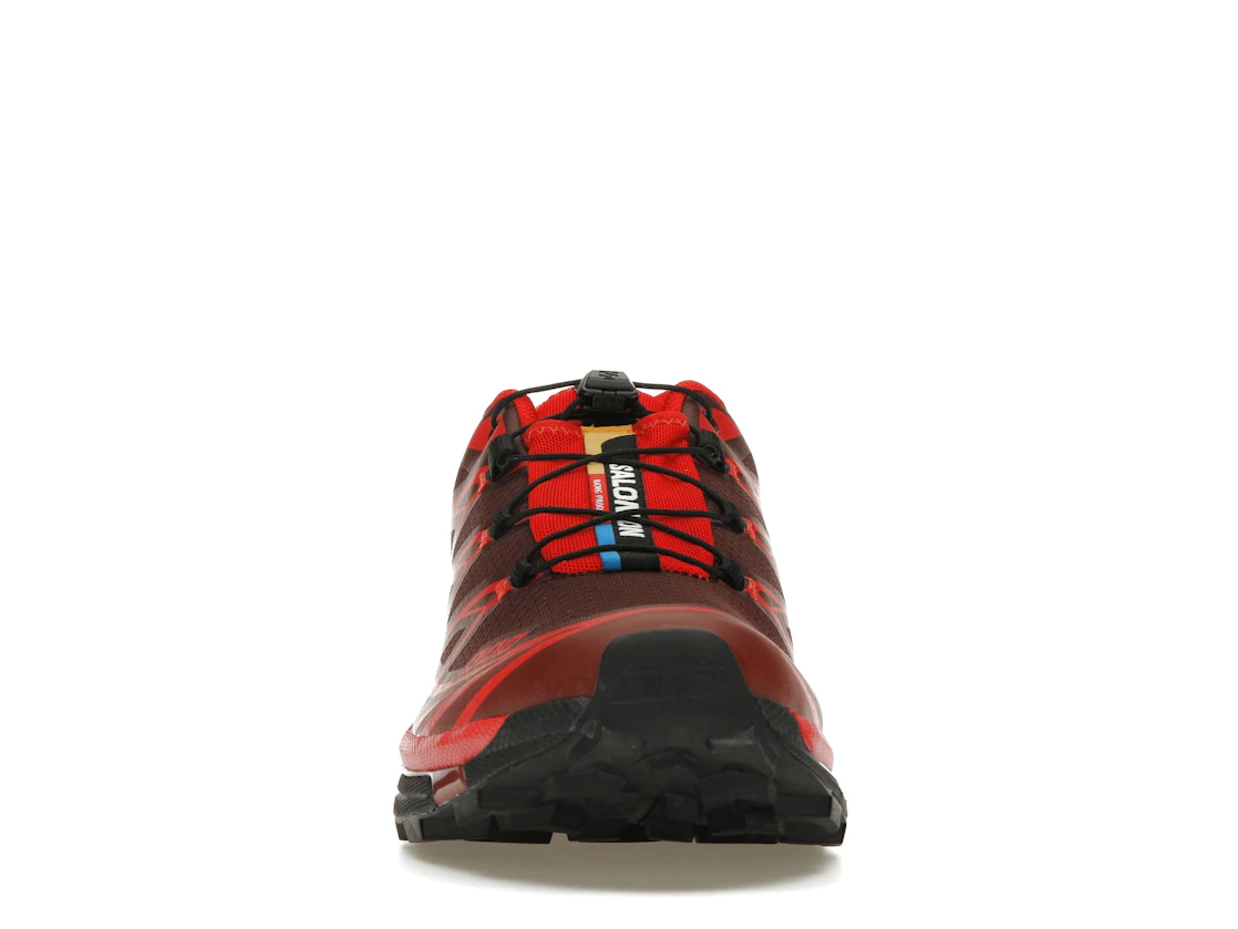 Salomon XT-6 Rum Raisin