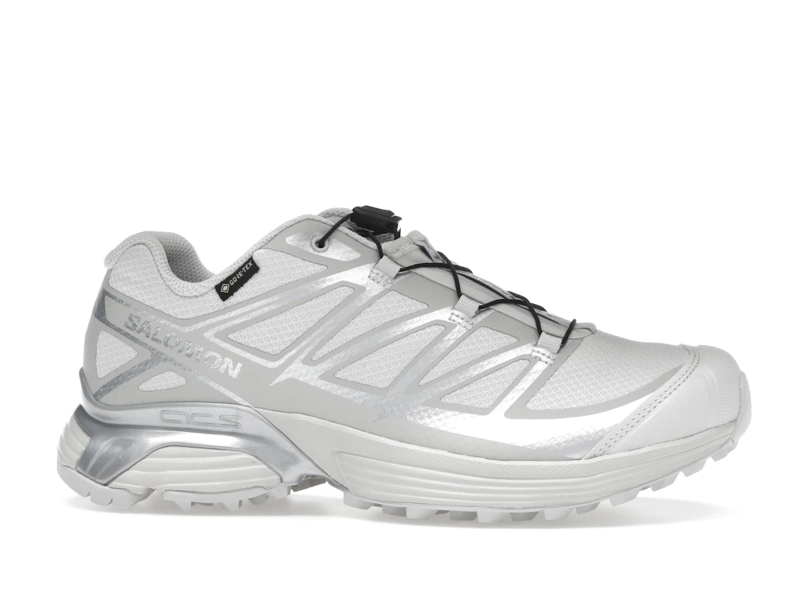 Salomon XT-Pathway GTX Lunar Rock Alloy