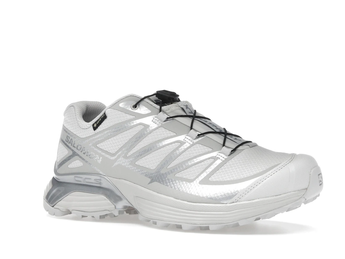 Salomon XT-Pathway GTX Lunar Rock Alloy