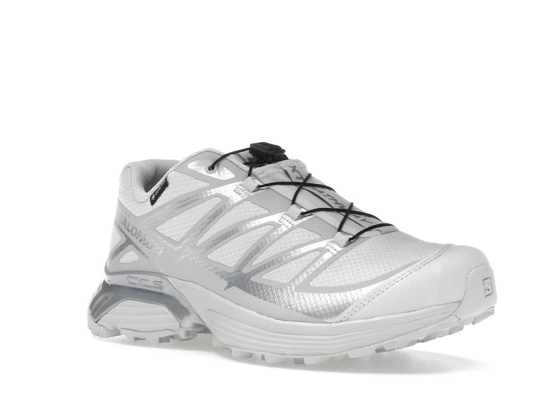 Salomon XT-Pathway GTX Lunar Rock Alloy