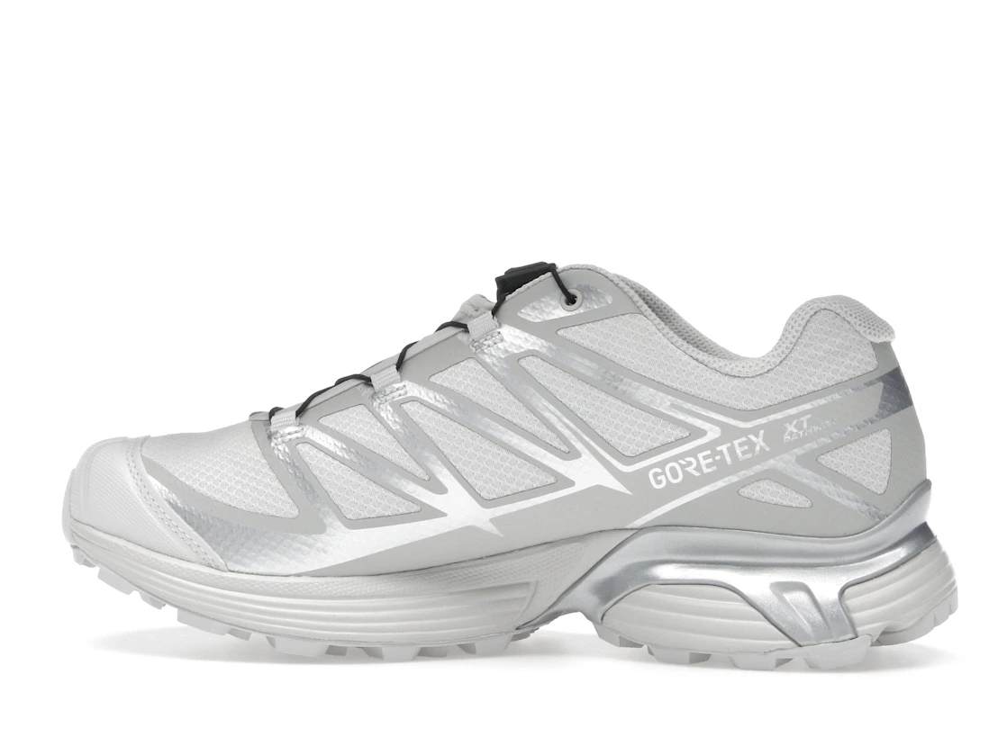 Salomon XT-Pathway GTX Lunar Rock Alloy
