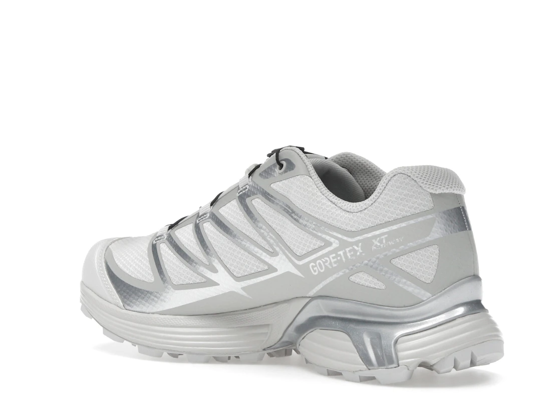 Salomon XT-Pathway GTX Lunar Rock Alloy