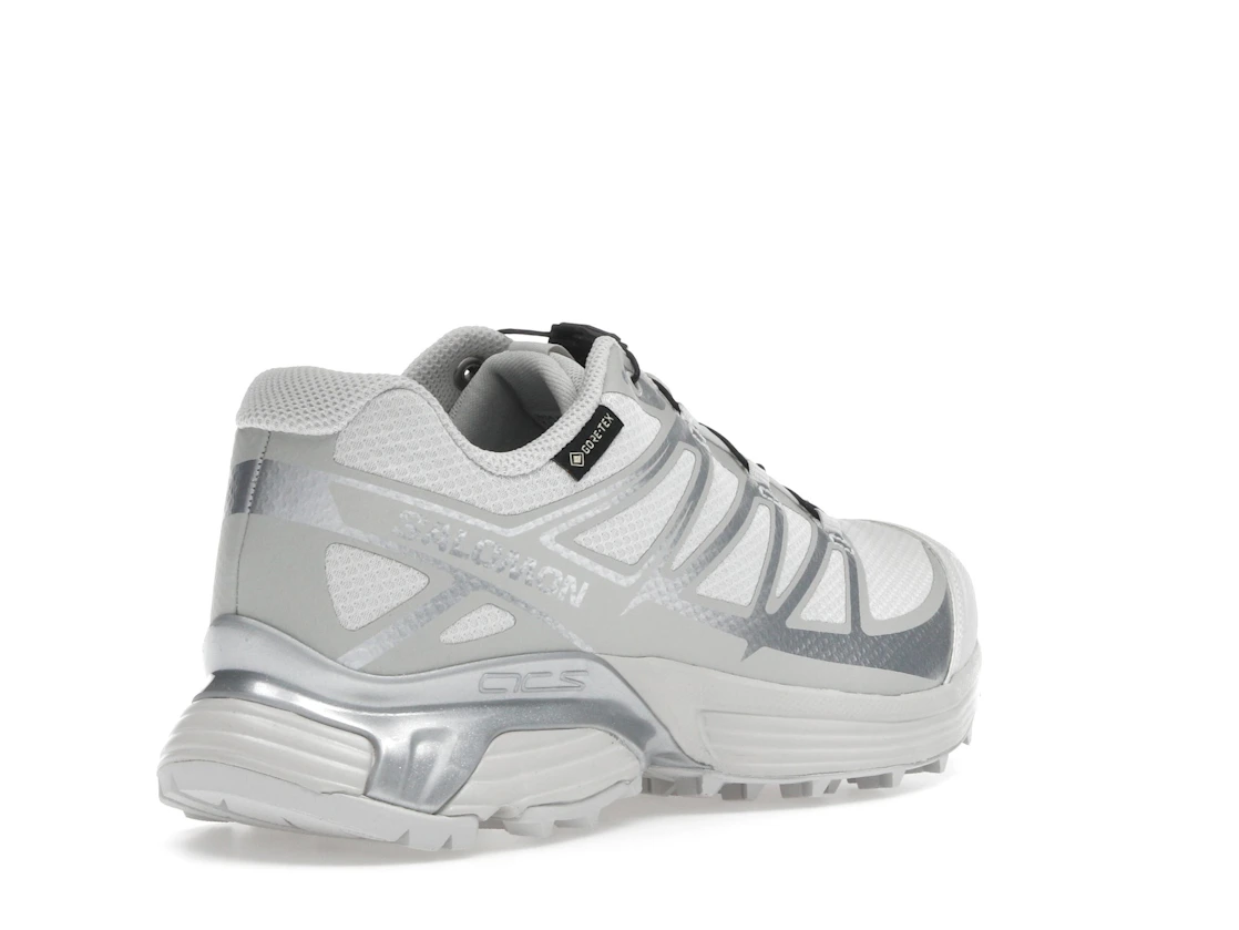 Salomon XT-Pathway GTX Lunar Rock Alloy